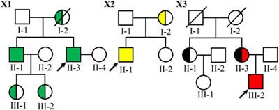 Identification of Four Novel COL4A5 Variants and Detection of Splicing Abnormalities in Three Chinese X-Linked Alport Syndrome Families